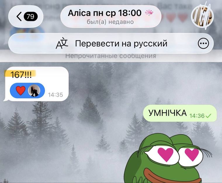 Відгук учня або батьків про підготовку до НМТ